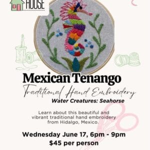 Mexican Tenango - Traditional Hand Embroidery - Water Creatures: Seahorse